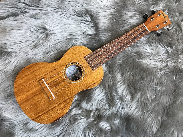 画像 画像