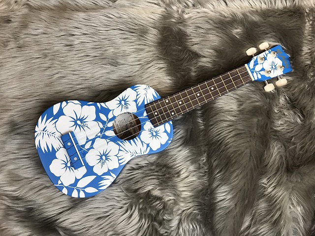 画像 画像