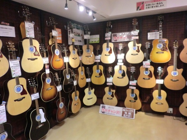 アコースティックギターお買い得満載！