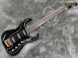 Bison Bass