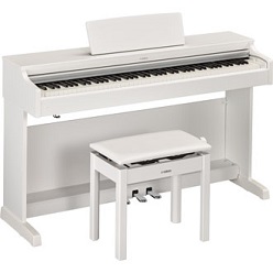YDP-163画像 YDP-163画像