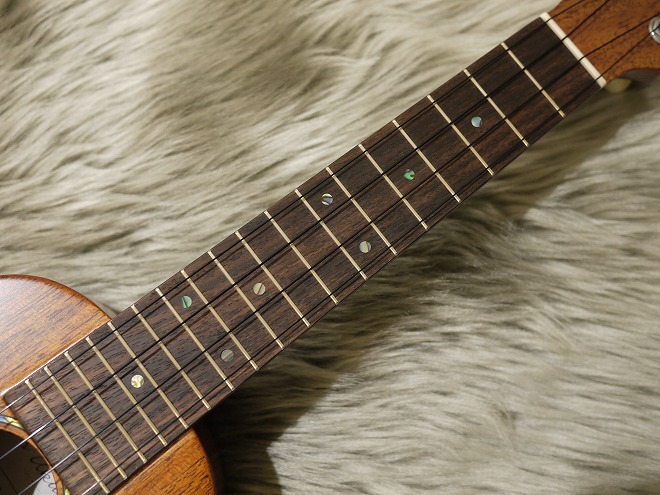 T's ukulele SD-100 UPT ソプラノ マホガニー 指板