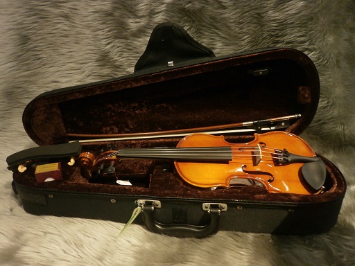 カルロジョルダーノ　VS-1　分数バイオリン
