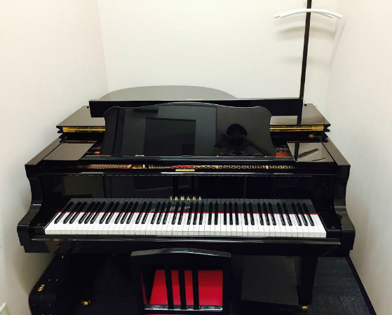 private piano room 