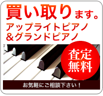 �A�R�[�X�e�B�b�N�s�A�m�������