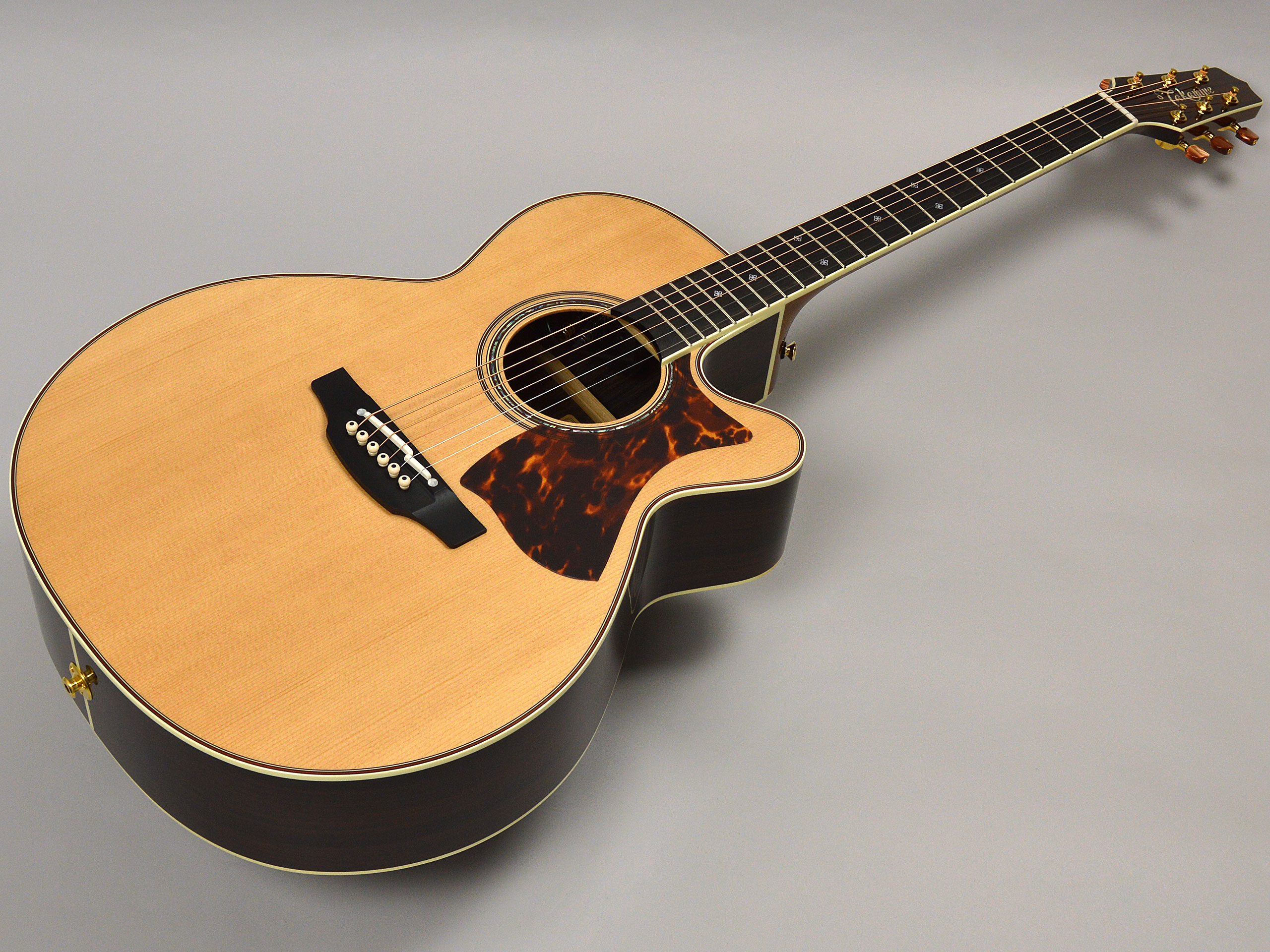 Takamine DMP50S Nトップ画像