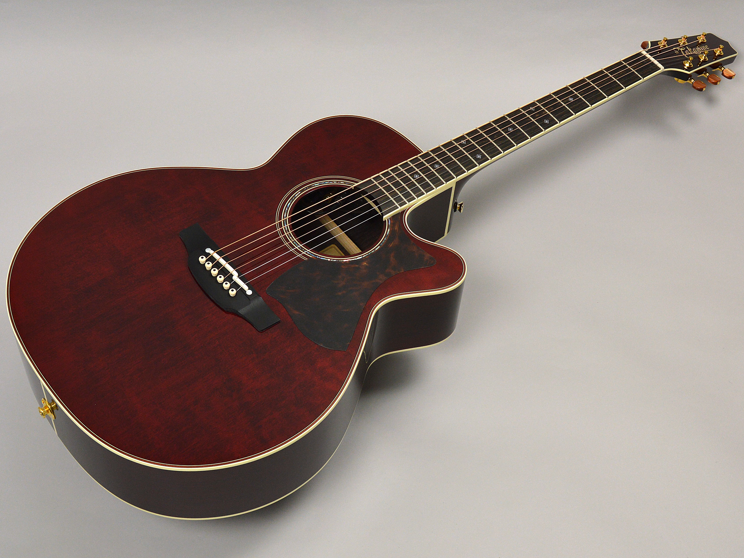 Takamine DMP50S WRトップ画像