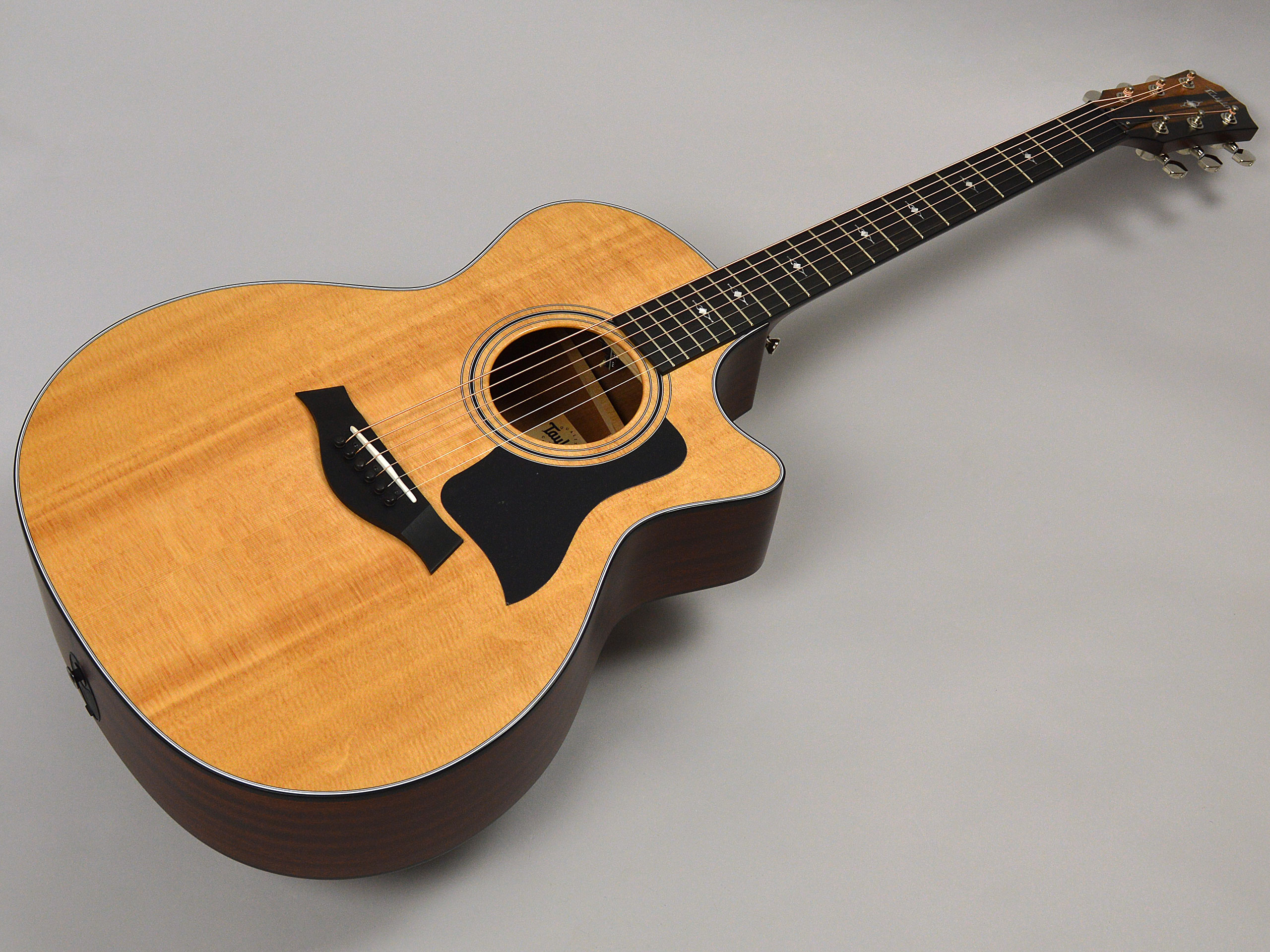 Taylor 314ce V-Classトップ画像