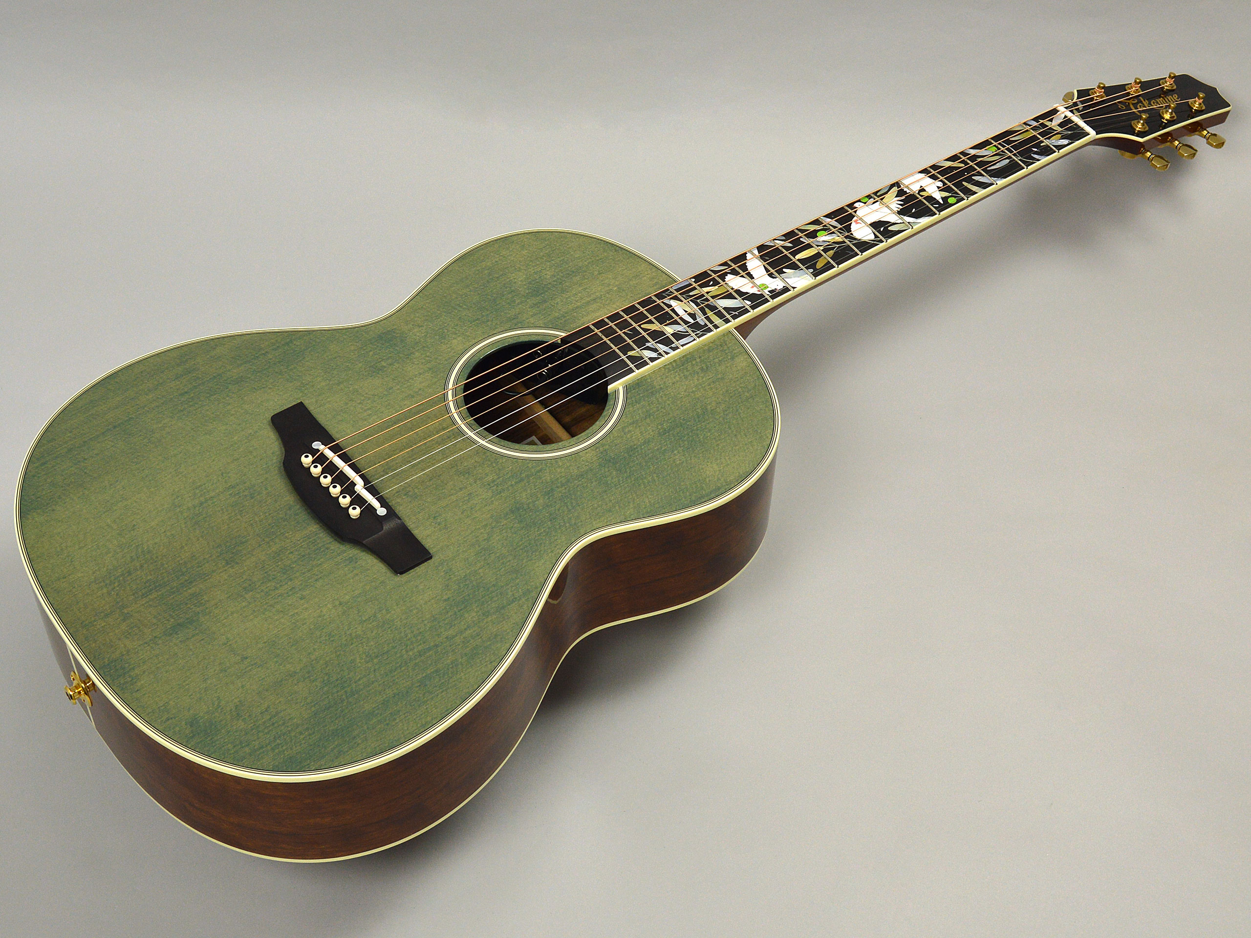 Takamine LTD2020 -Peace-トップ画像