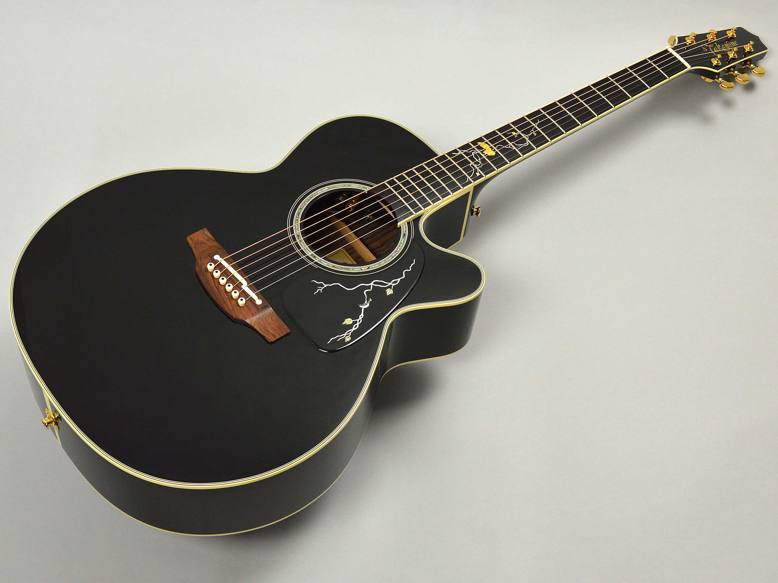 Takamine TDP500CUSTOM -道-トップ画像