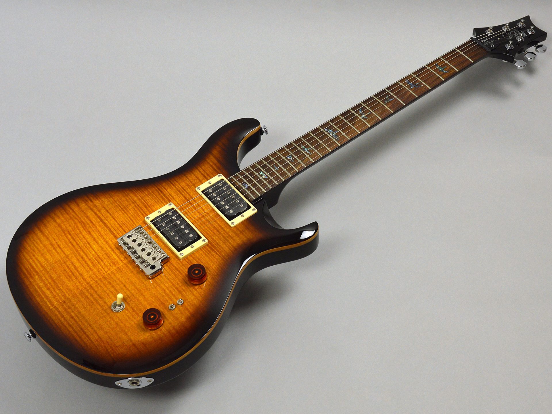 PAUL　REED　SMITH 35th Anniversary SE Custom 24 BGトップ画像