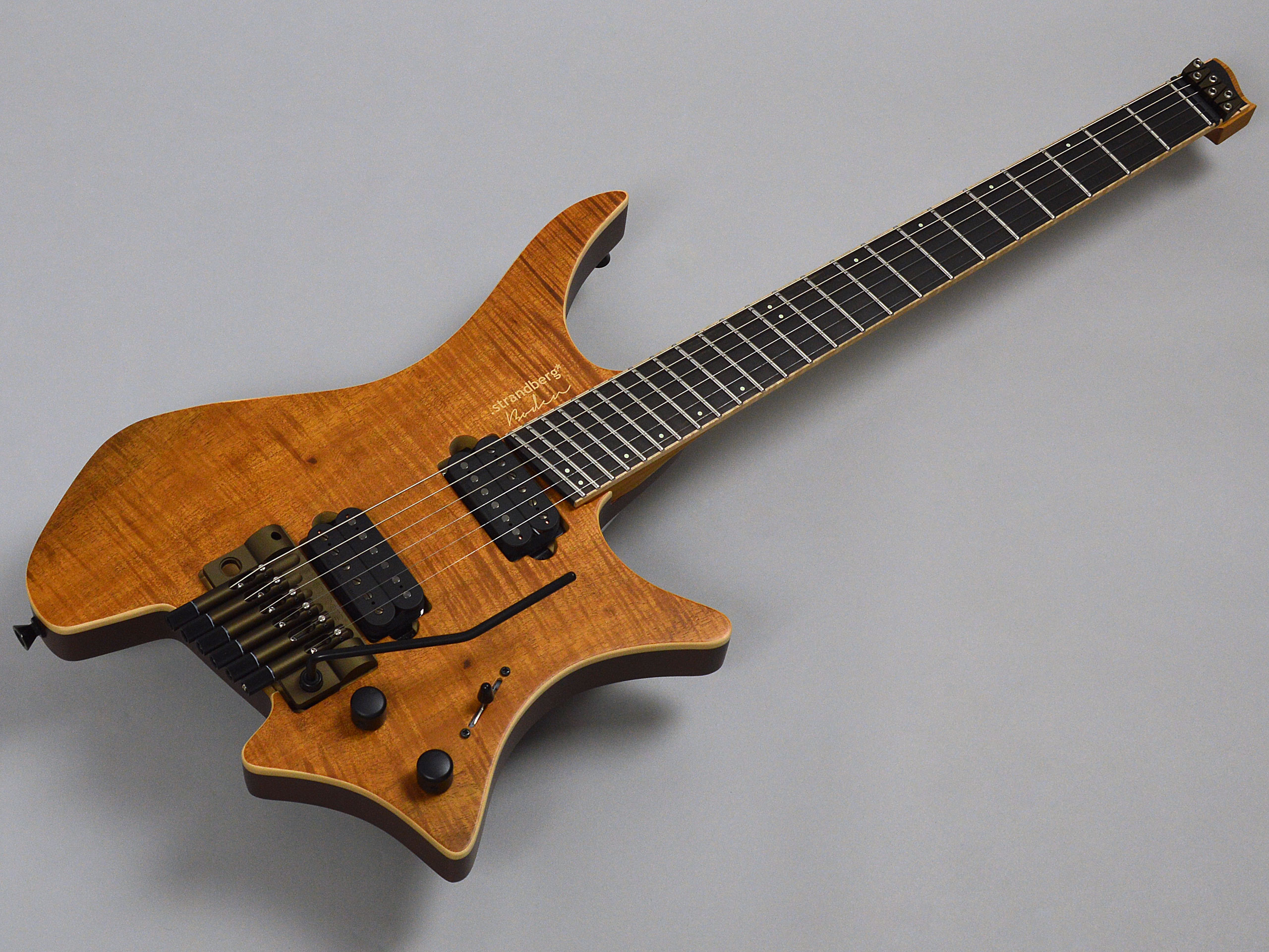 Strandberg Boden J6 Standard Tremolo Special Naturalトップ画像