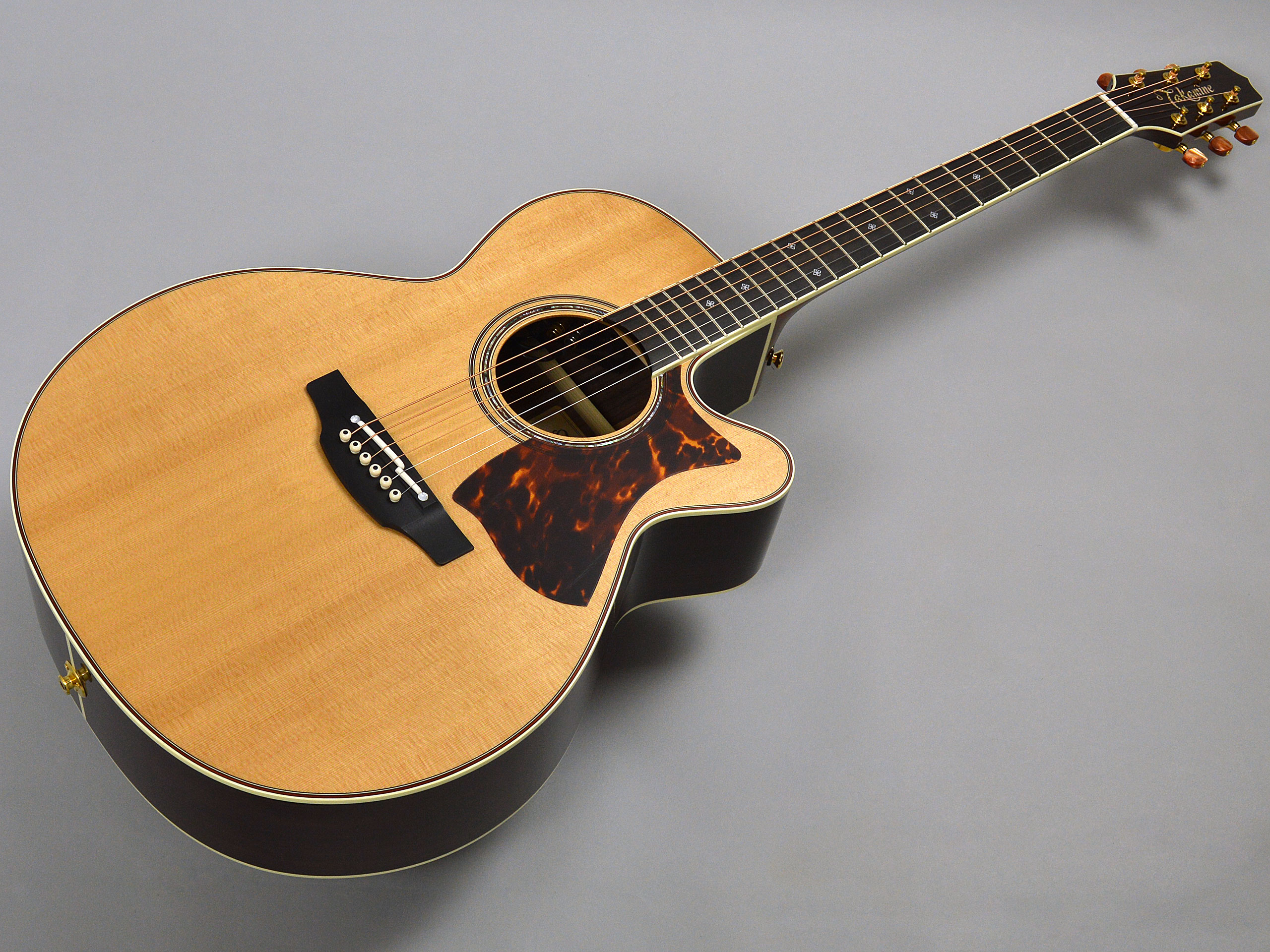 Takamine DMP50S Nトップ画像