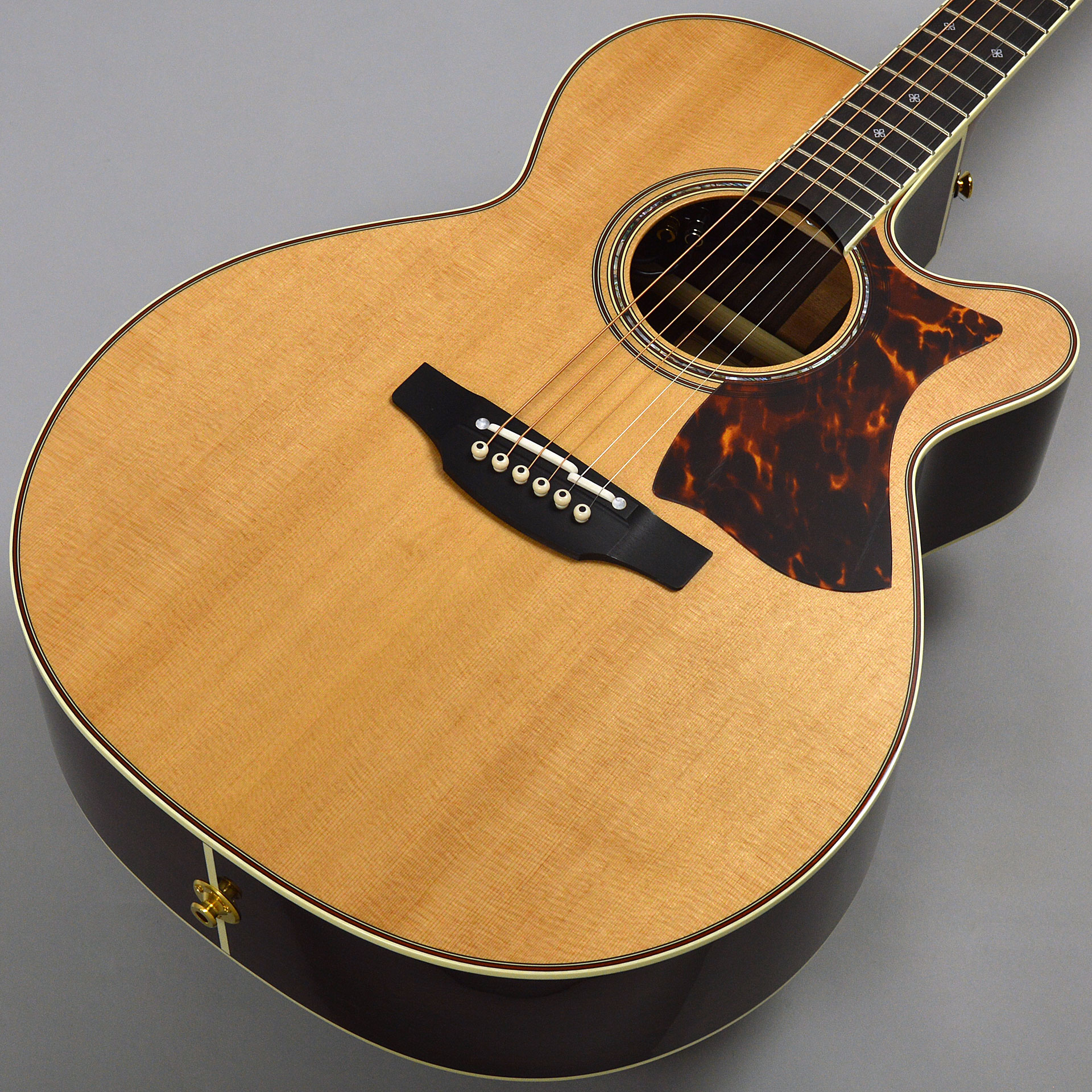 Takamine DMP50S Nサムネ画像