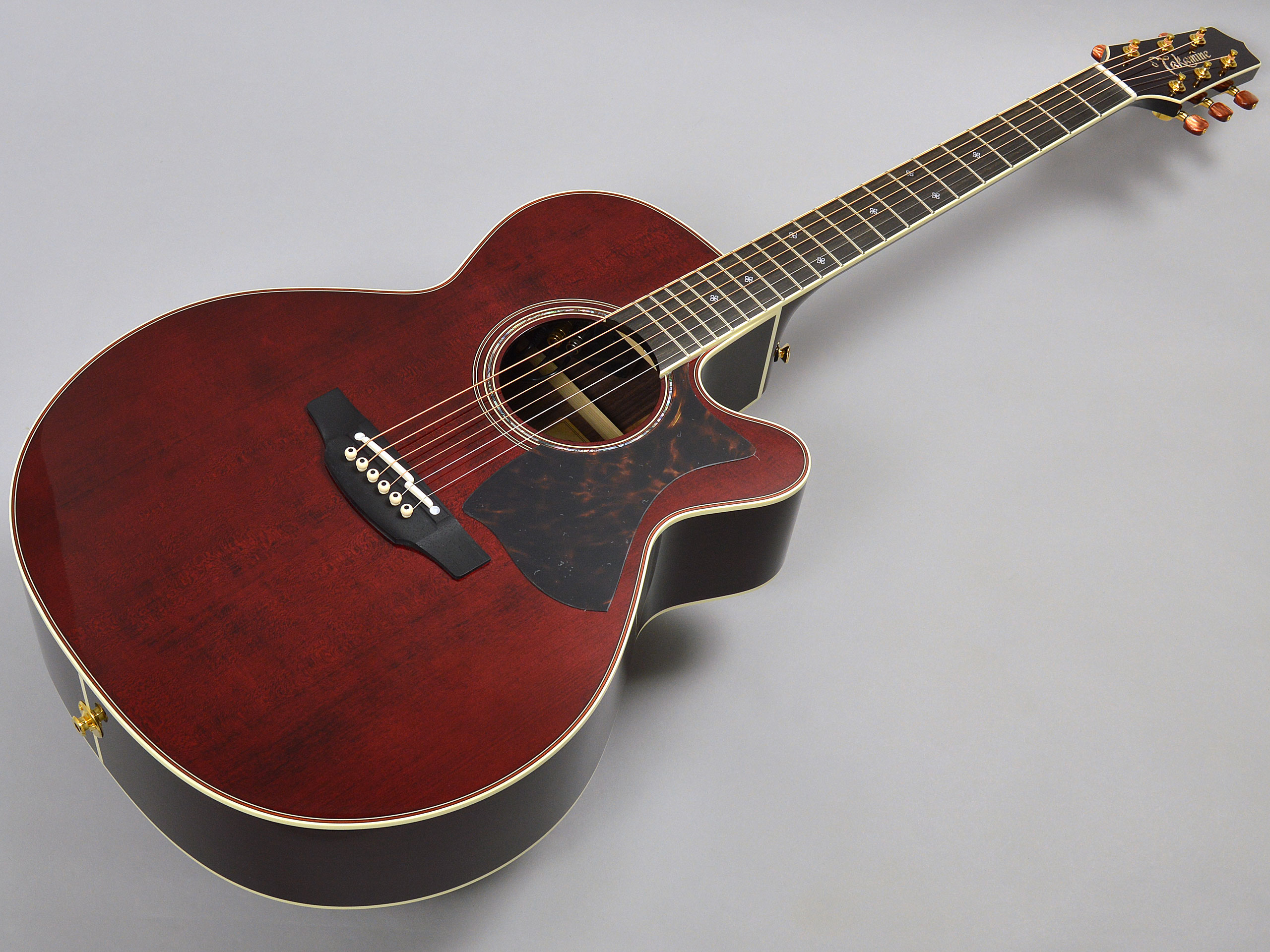 Takamine DMP50S WRトップ画像