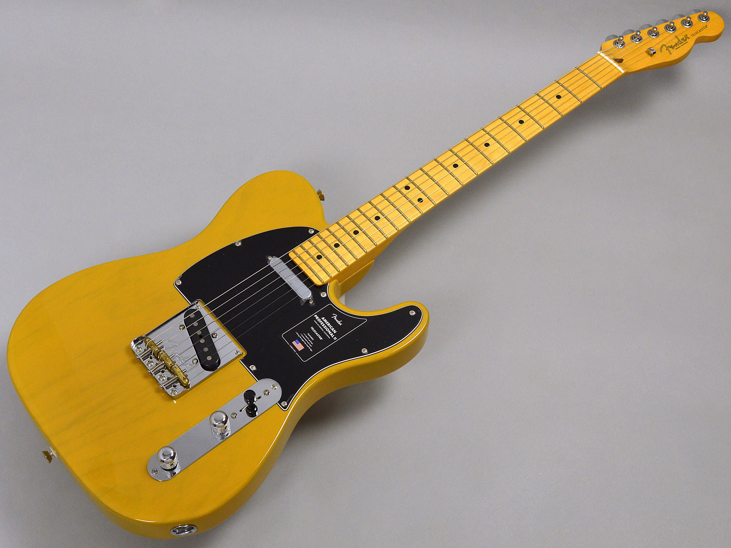 Fender AMERICAN PROFESSIONAL II TELECASTER MN BTBトップ画像