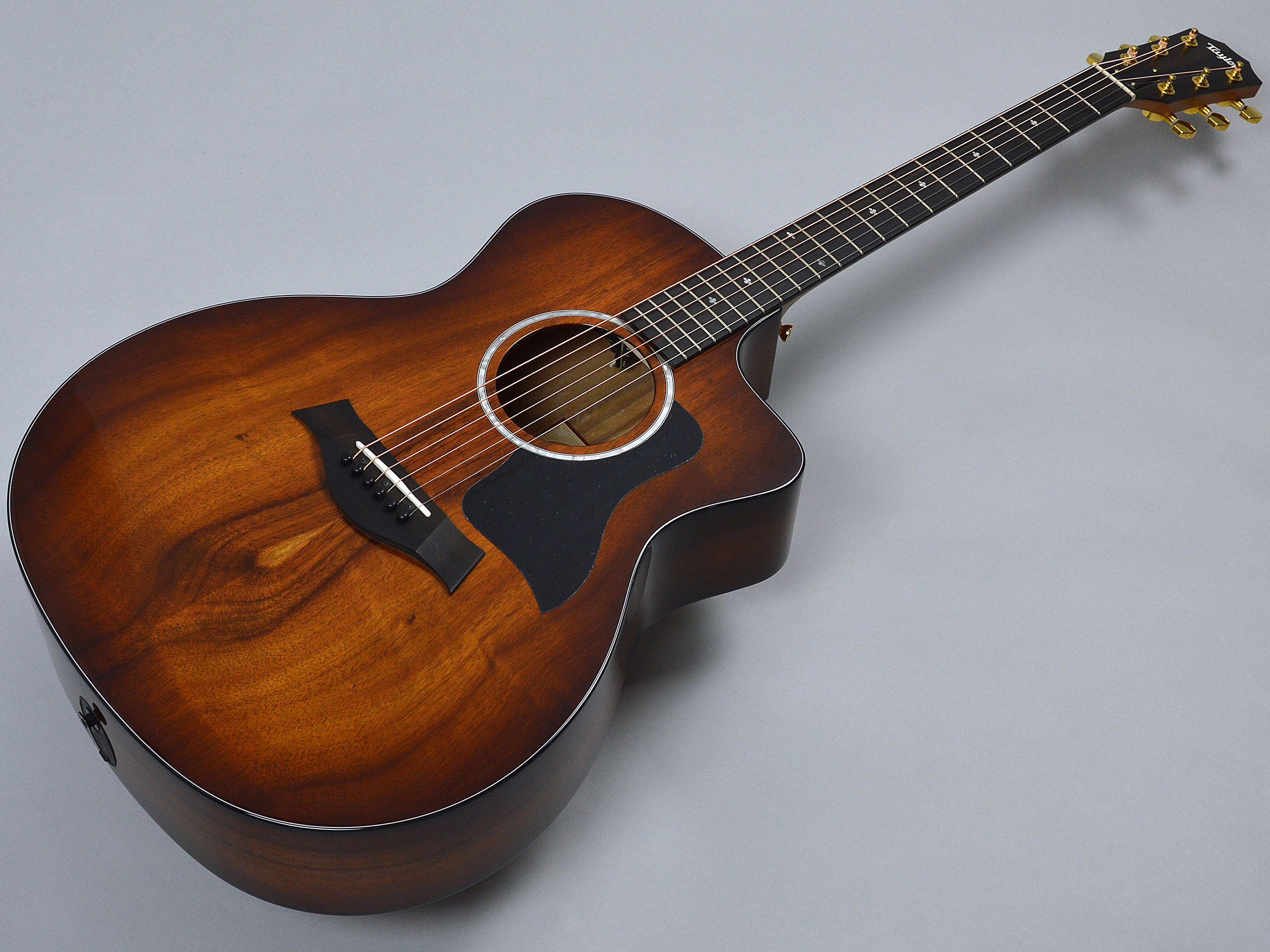 Taylor 224ce-Koa DLXトップ画像