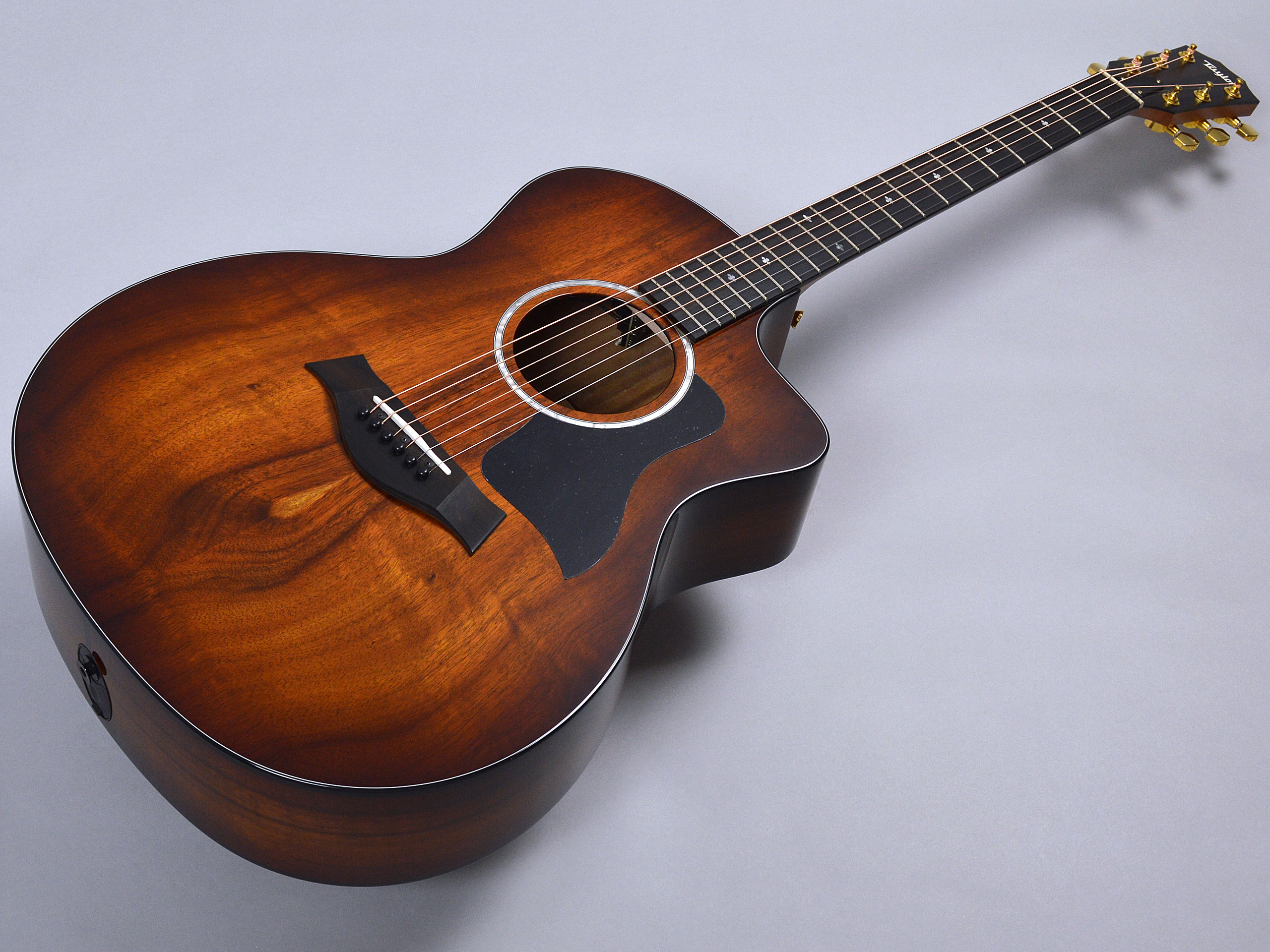 Taylor 224ce-Koa DLXトップ画像