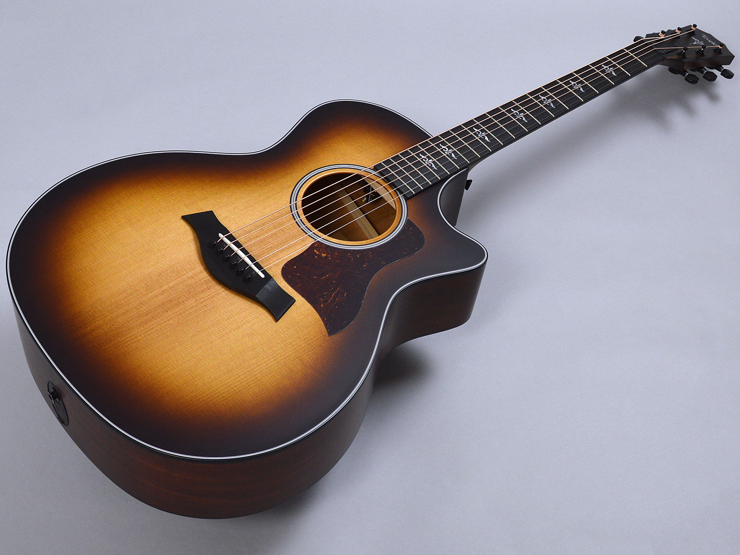 Taylor LTD 314ce Koa/TRS SEBトップ画像