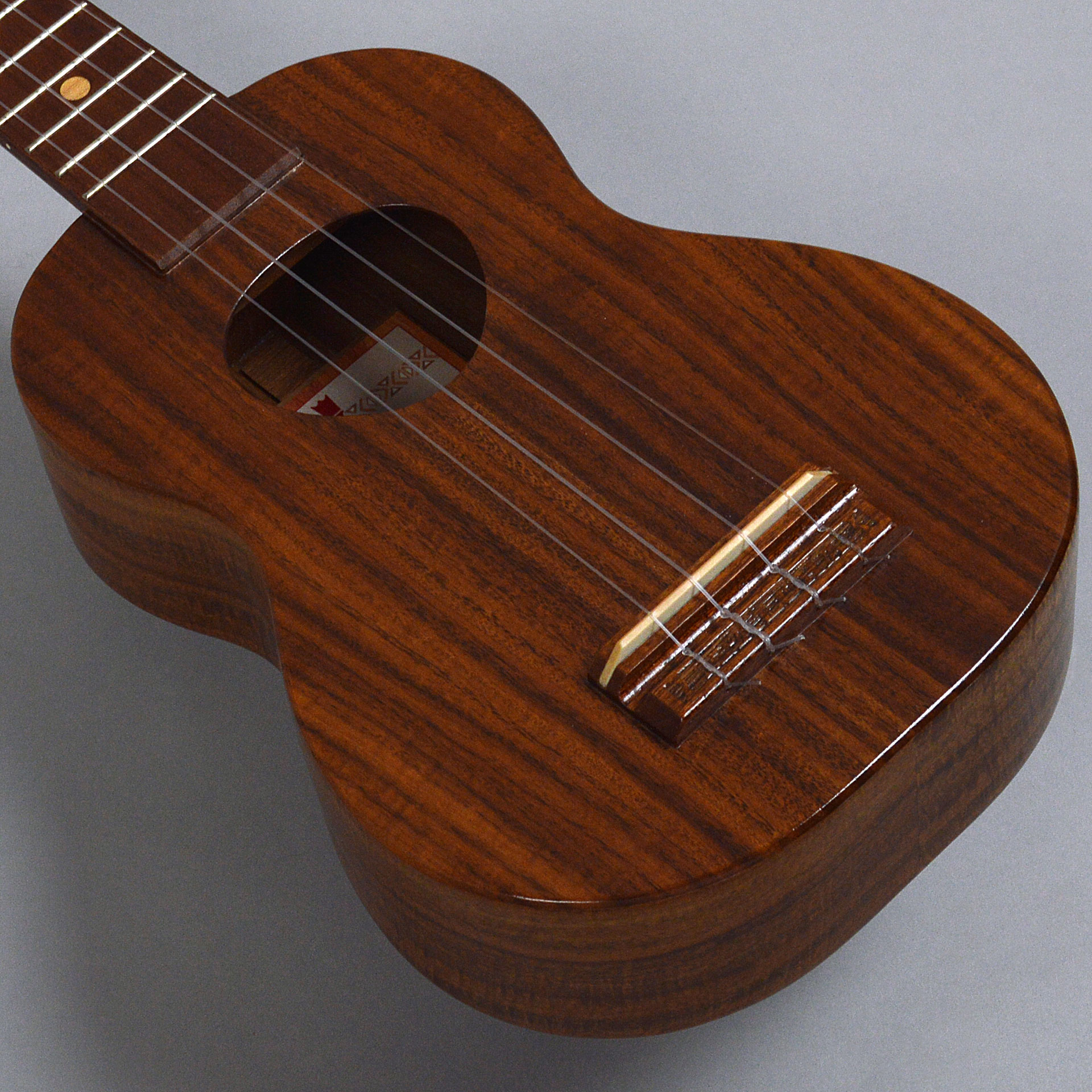 特価ウクレレ】Ibanez UEW12E＆KoALoha Opio KSO-10 UG Soprano