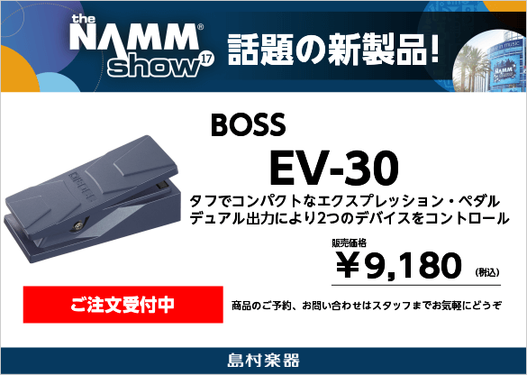 BOSS EV-30