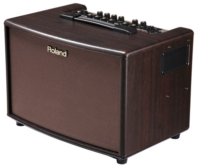 Roland AC-60RW