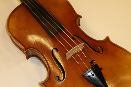 viola