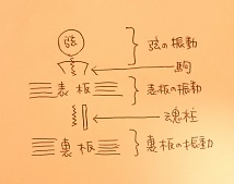 振動の伝わり方