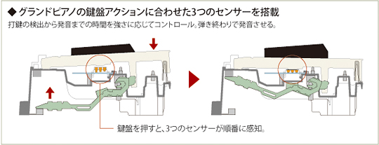 カシオ　3センサーキー