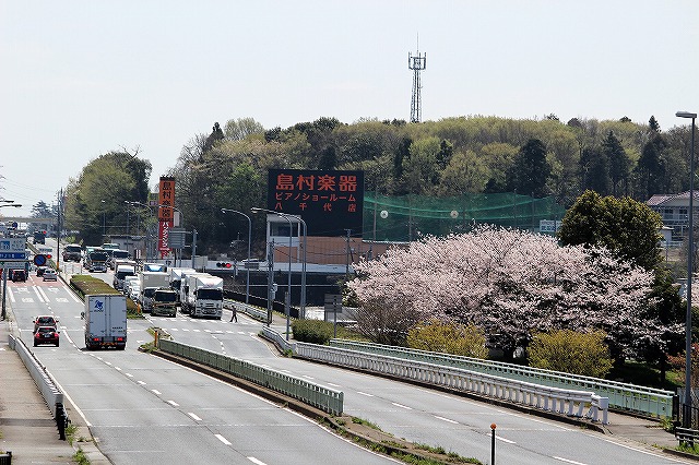 柏方面からの景観