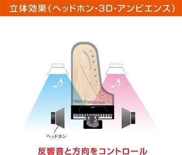 3Dアンビエンス全体画像