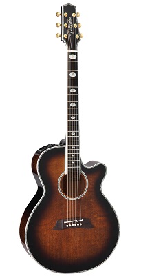 Takamine DMP100 VTS