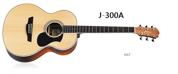 J-300A NAT