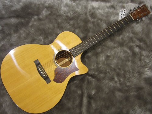 GPCPA4