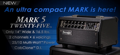 MESA BOOGIE MARKV 25