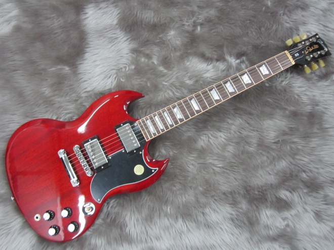 SG Standard 2015