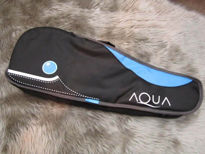 AQUA001ケース写真