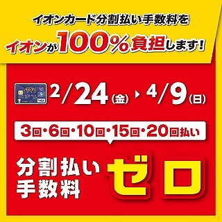 イオンカード分割手数料無料