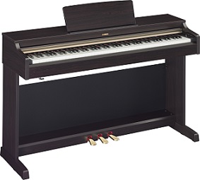 YDP162