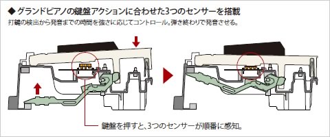 3センサースケーリングハンマーアクション鍵盤II