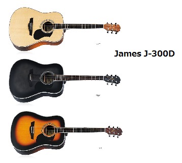 James J-300D