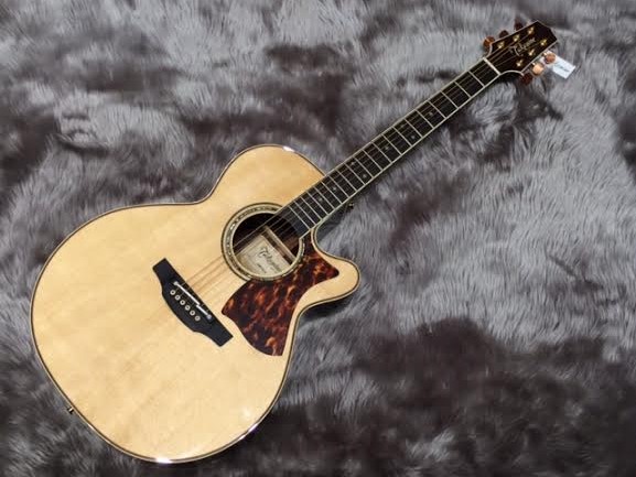 Takamine DMP50S