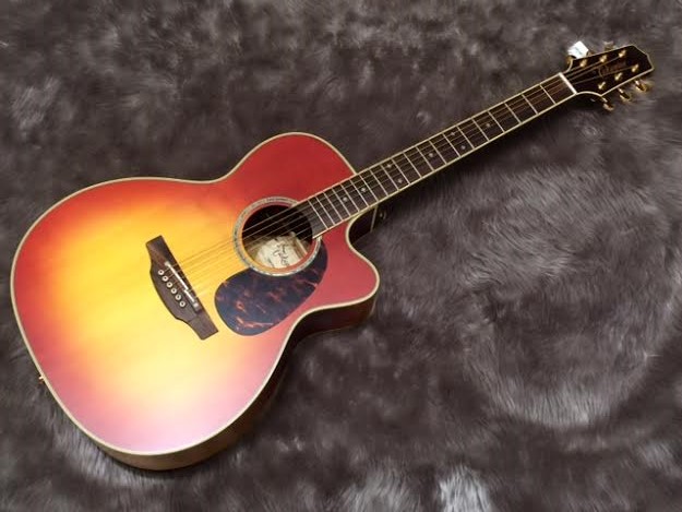 Takamine TDP75S