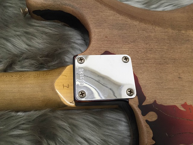 Back Plate