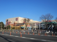 コルトン