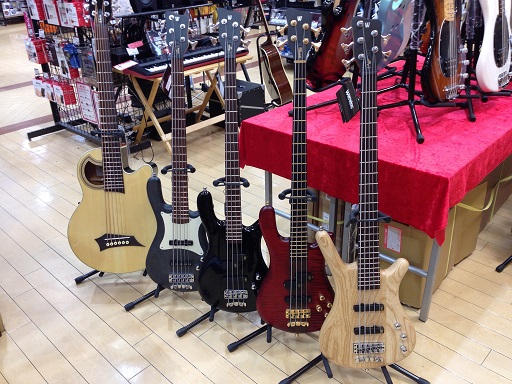 Warwick BASS