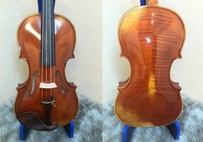 V-5/Guarneri