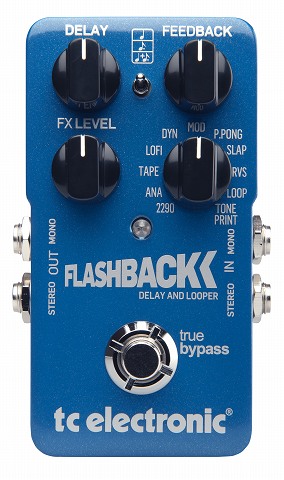 Flashback Delay & Looper