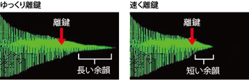 音の減衰