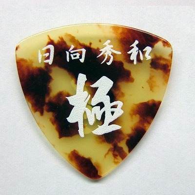 鼈甲